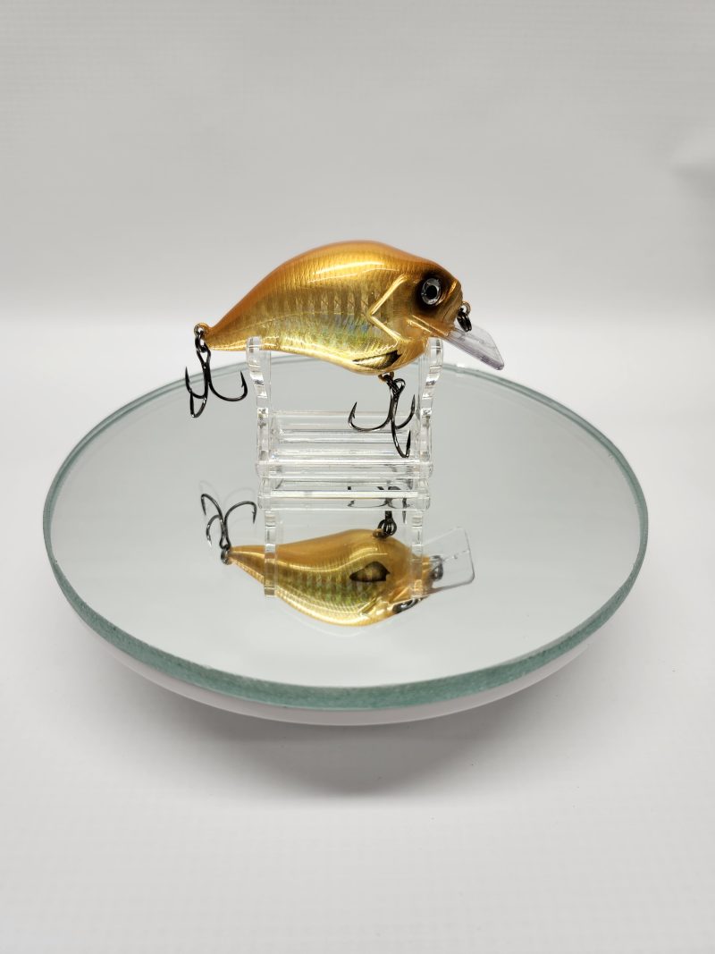 Gold Shiner S-Crank KO